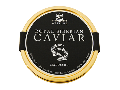 Attilus Siberian Caviar (baerii)