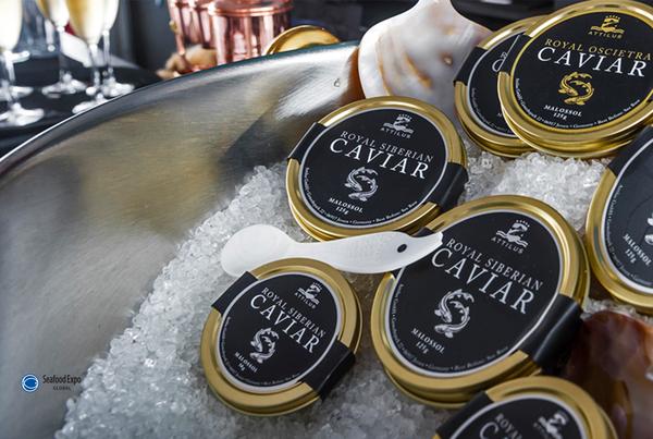 Attilus auf der Global Seafood Expo