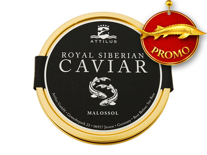 CAVIAR SIBÉRIEN ROYAL